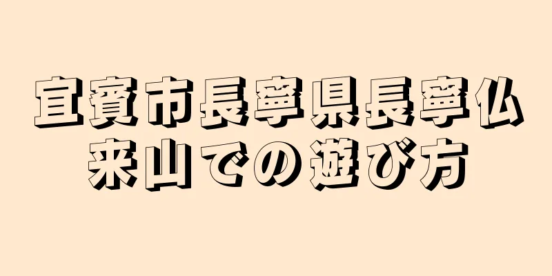宜賓市長寧県長寧仏来山での遊び方