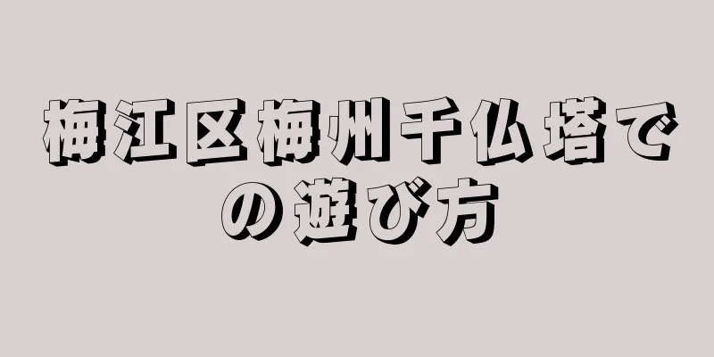 梅江区梅州千仏塔での遊び方