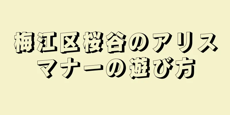 梅江区桜谷のアリスマナーの遊び方