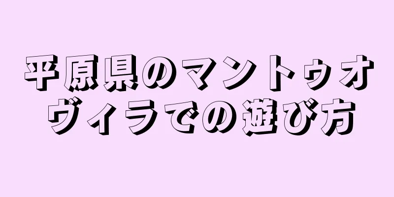 平原県のマントゥオヴィラでの遊び方