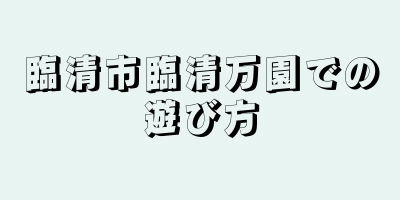臨清市臨清万園での遊び方