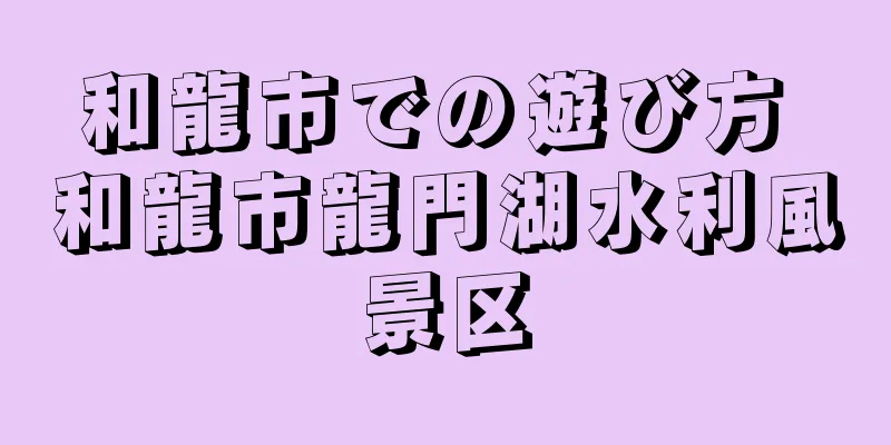 和龍市での遊び方 和龍市龍門湖水利風景区