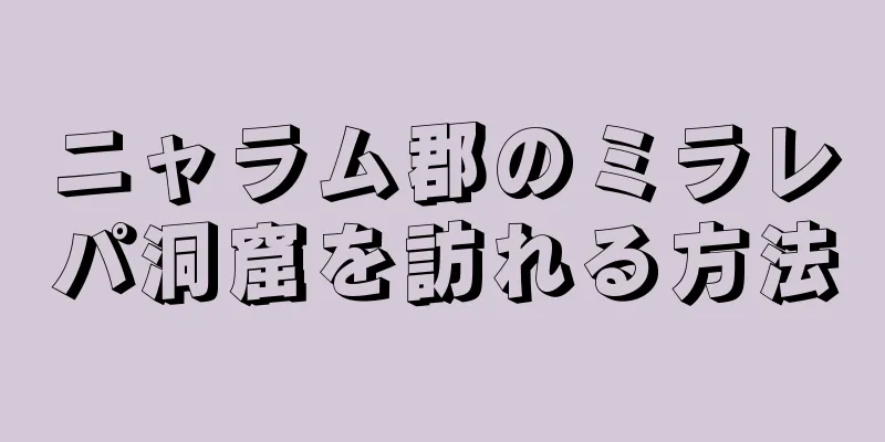 ニャラム郡のミラレパ洞窟を訪れる方法
