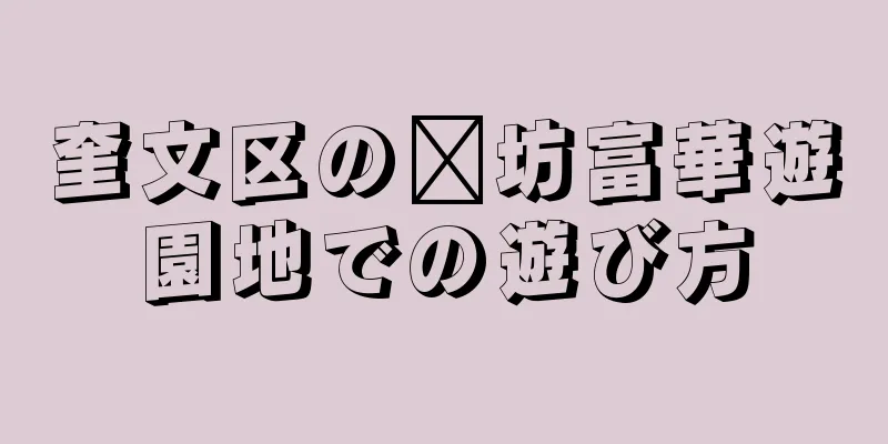 奎文区の濰坊富華遊園地での遊び方