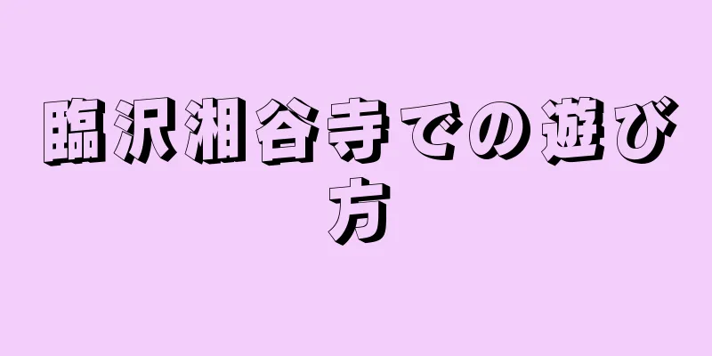 臨沢湘谷寺での遊び方