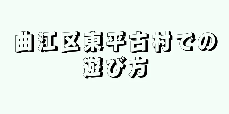 曲江区東平古村での遊び方