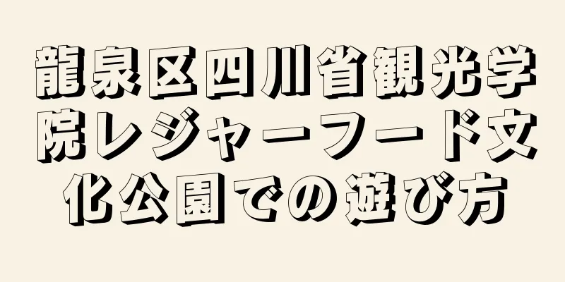 龍泉区四川省観光学院レジャーフード文化公園での遊び方