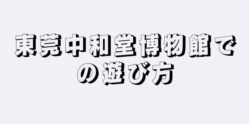 東莞中和堂博物館での遊び方