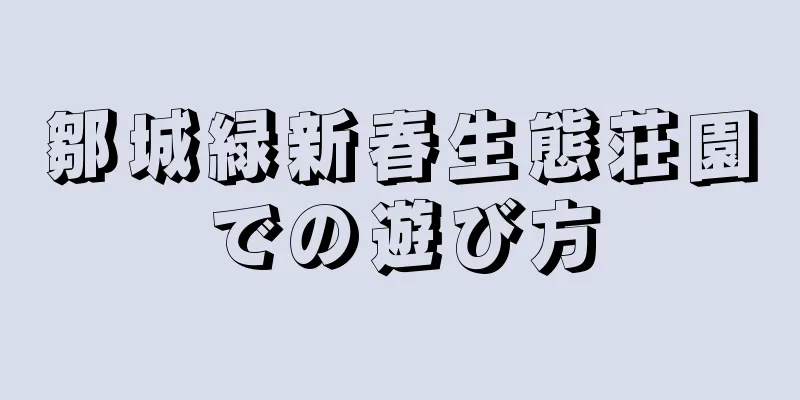 鄒城緑新春生態荘園での遊び方