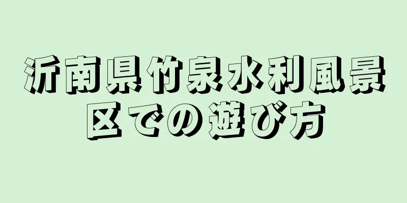 沂南県竹泉水利風景区での遊び方