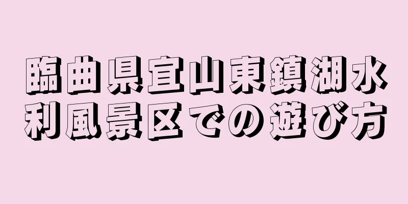 臨曲県宜山東鎮湖水利風景区での遊び方