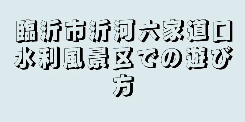 臨沂市沂河六家道口水利風景区での遊び方
