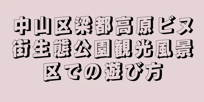 中山区梁都高原ビヌ街生態公園観光風景区での遊び方