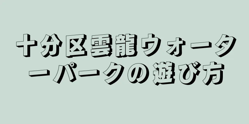 十分区雲龍ウォーターパークの遊び方