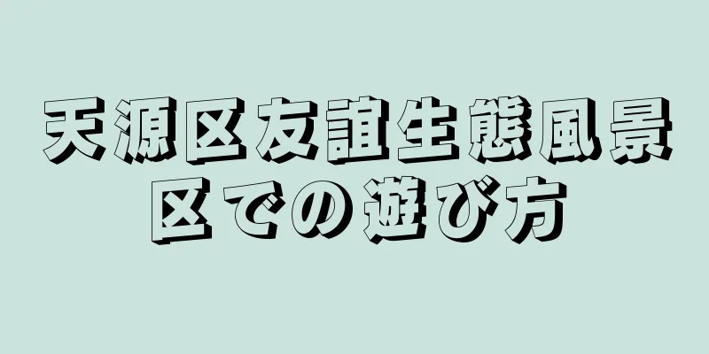 天源区友誼生態風景区での遊び方