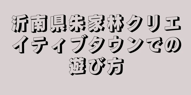 沂南県朱家林クリエイティブタウンでの遊び方