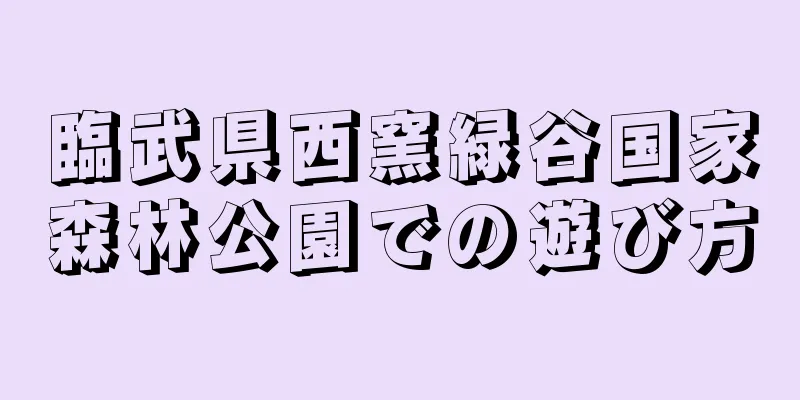 臨武県西窯緑谷国家森林公園での遊び方