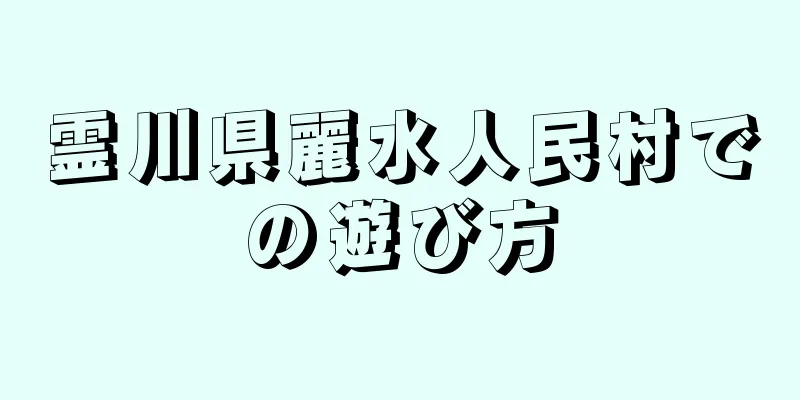 霊川県麗水人民村での遊び方
