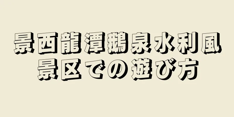 景西龍潭鵝泉水利風景区での遊び方