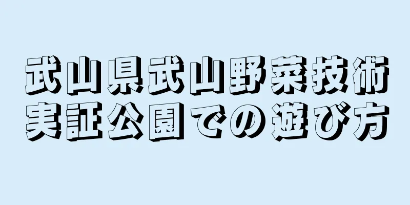 武山県武山野菜技術実証公園での遊び方