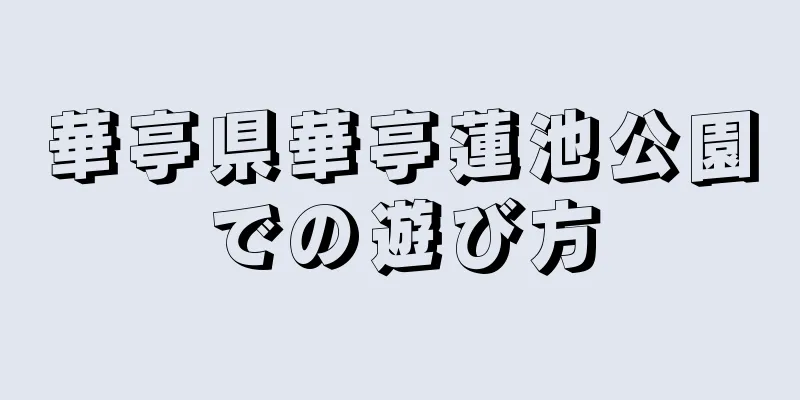 華亭県華亭蓮池公園での遊び方