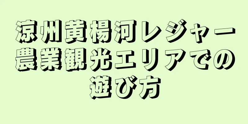 涼州黄楊河レジャー農業観光エリアでの遊び方