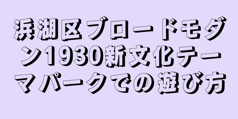 浜湖区ブロードモダン1930新文化テーマパークでの遊び方