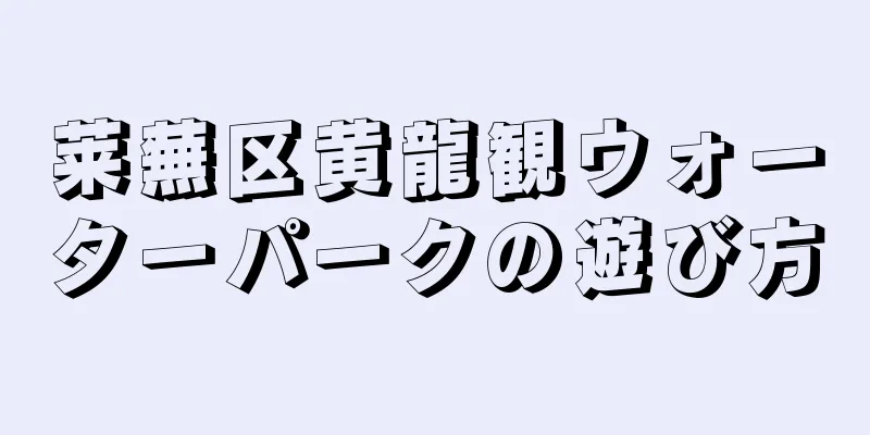 莱蕪区黄龍観ウォーターパークの遊び方