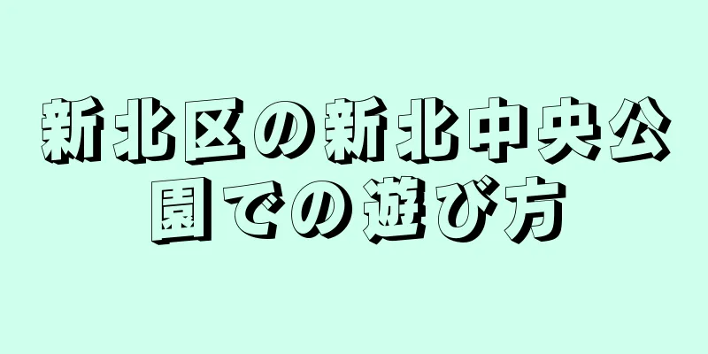 新北区の新北中央公園での遊び方