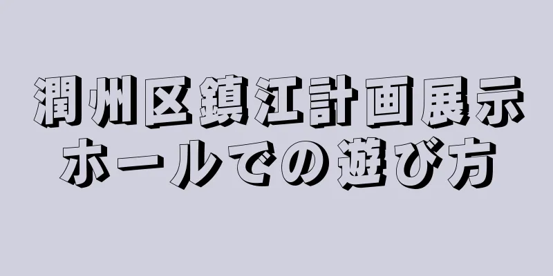 潤州区鎮江計画展示ホールでの遊び方