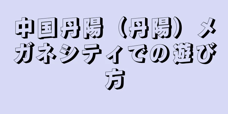 中国丹陽（丹陽）メガネシティでの遊び方
