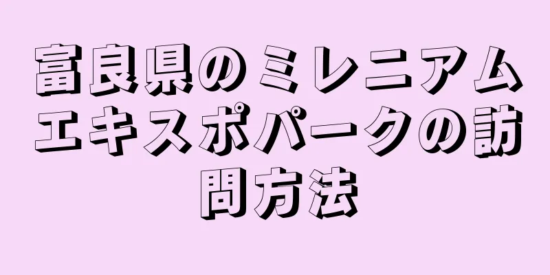 富良県のミレニアムエキスポパークの訪問方法