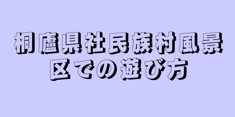 桐廬県社民族村風景区での遊び方