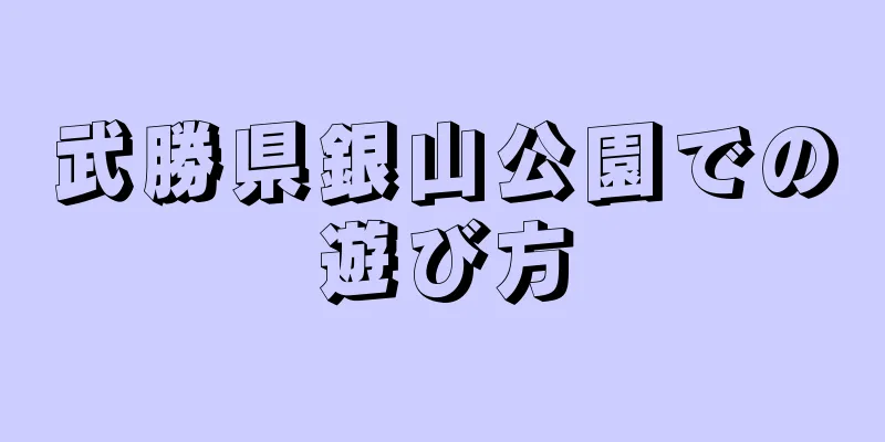 武勝県銀山公園での遊び方