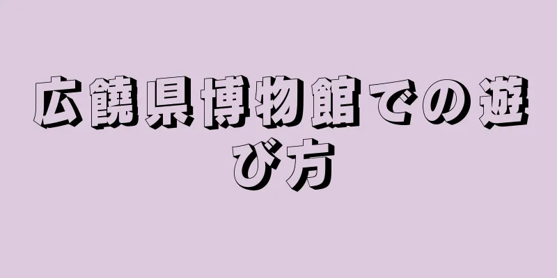 広饒県博物館での遊び方