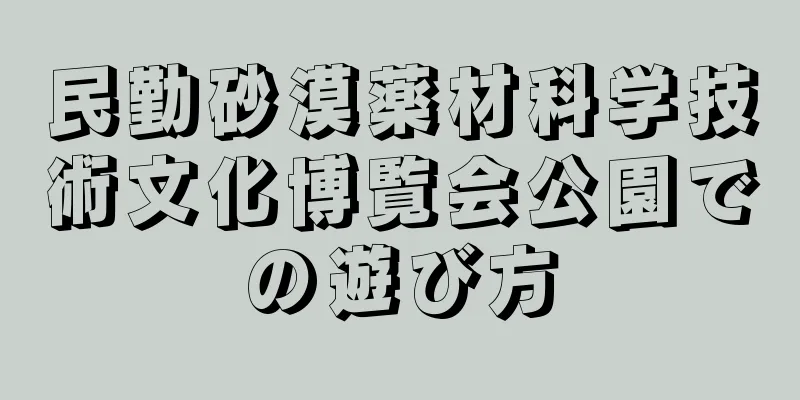民勤砂漠薬材科学技術文化博覧会公園での遊び方