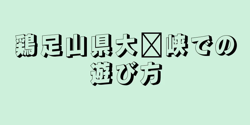 鶏足山県大墩峡での遊び方