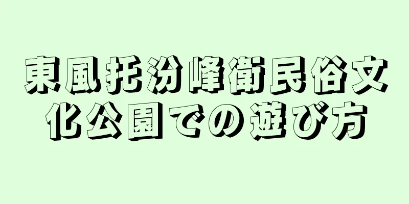 東風托汾峰衛民俗文化公園での遊び方