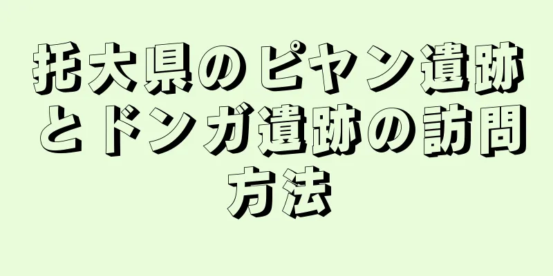 托大県のピヤン遺跡とドンガ遺跡の訪問方法