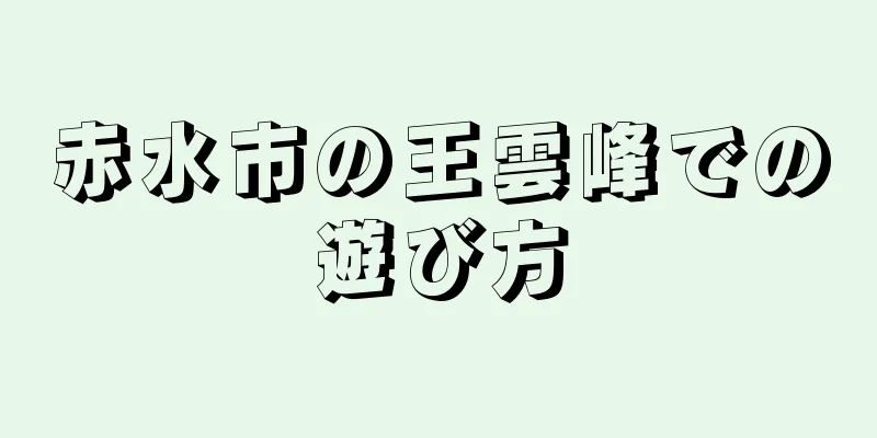 赤水市の王雲峰での遊び方