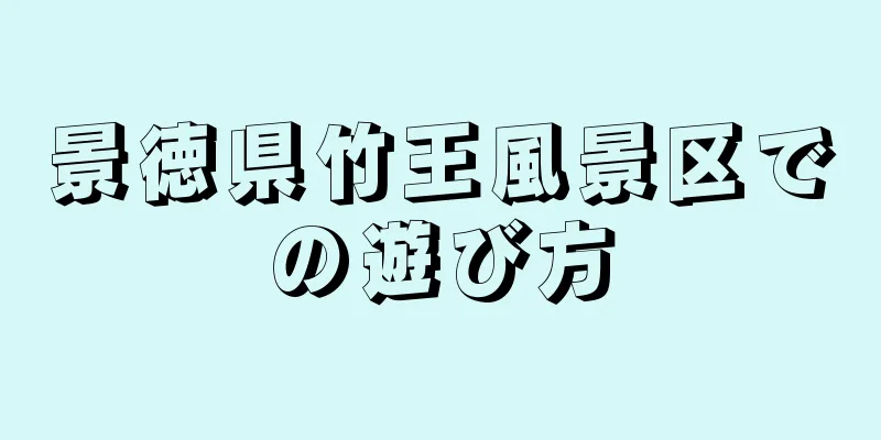 景徳県竹王風景区での遊び方