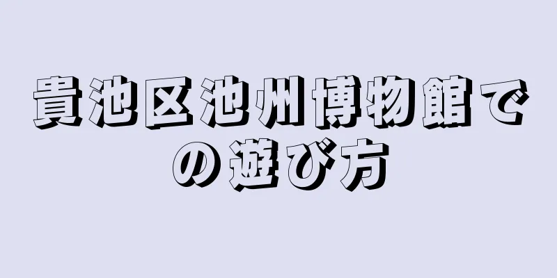 貴池区池州博物館での遊び方