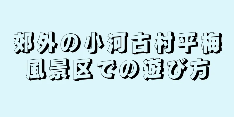 郊外の小河古村平梅風景区での遊び方