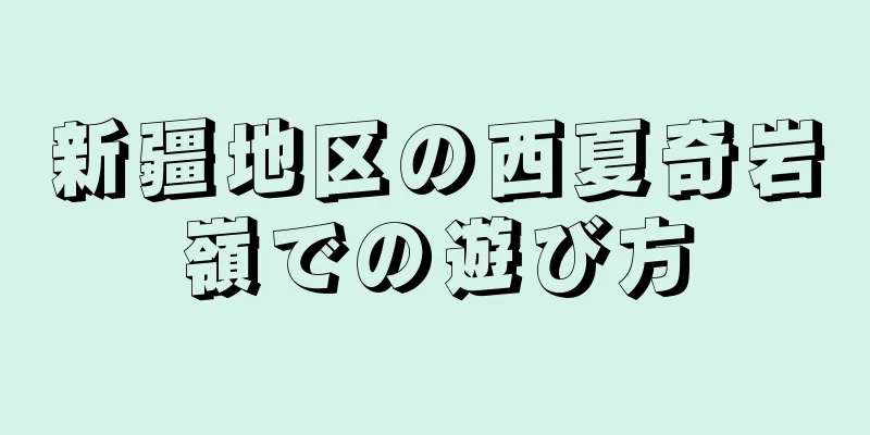 新疆地区の西夏奇岩嶺での遊び方