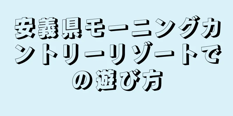 安義県モーニングカントリーリゾートでの遊び方