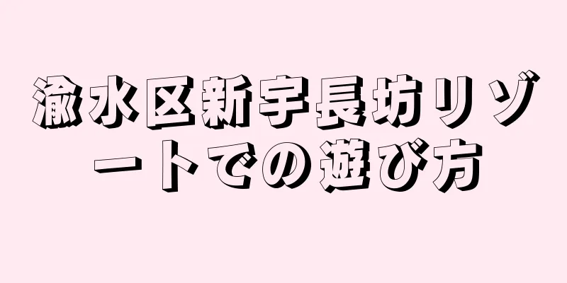 渝水区新宇長坊リゾートでの遊び方