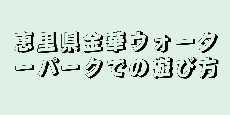 恵里県金華ウォーターパークでの遊び方