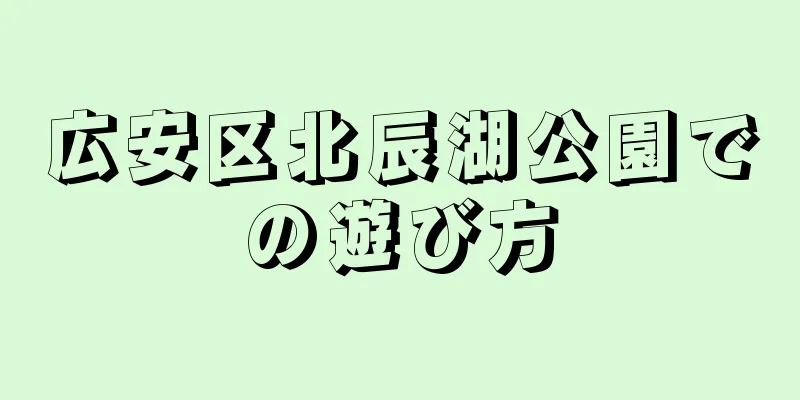 広安区北辰湖公園での遊び方