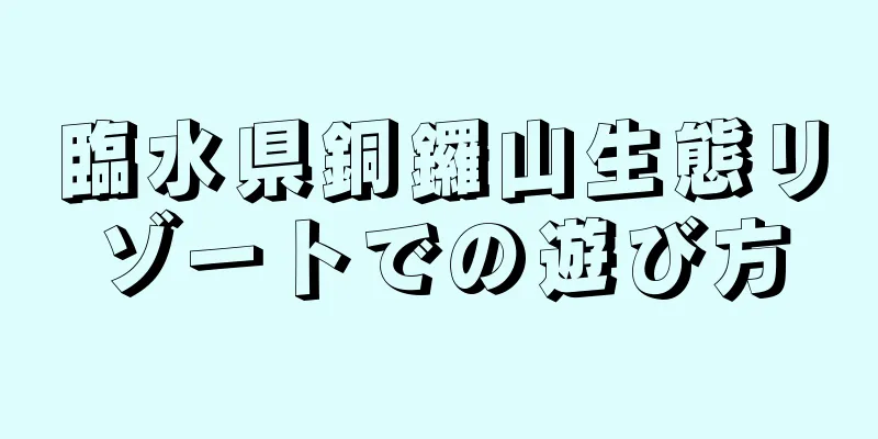 臨水県銅鑼山生態リゾートでの遊び方