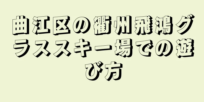 曲江区の衢州飛鴻グラススキー場での遊び方